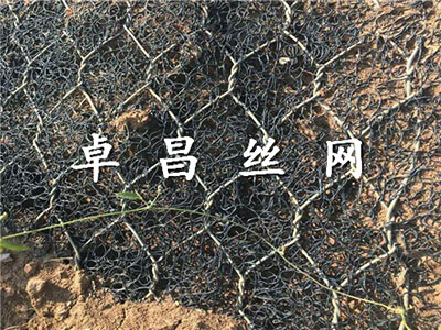 麥克墊